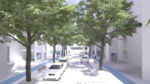 主入口道路.png